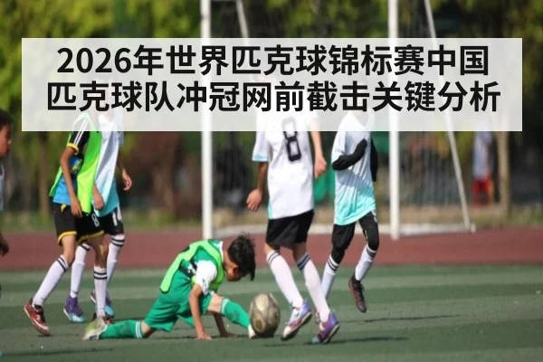 2026年世界匹克球锦标赛中国匹克球队冲冠网前截击关键分析
